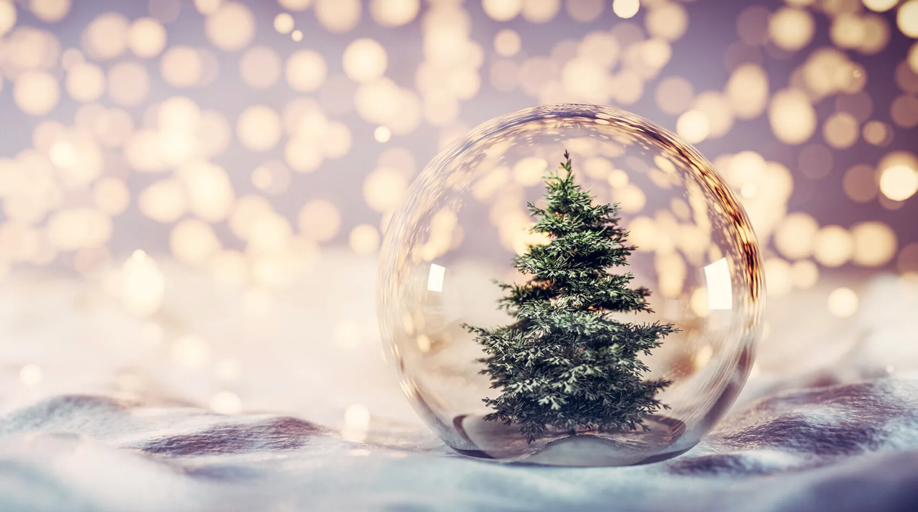 2024クリスマス限定ラッピング/プロモーションコード